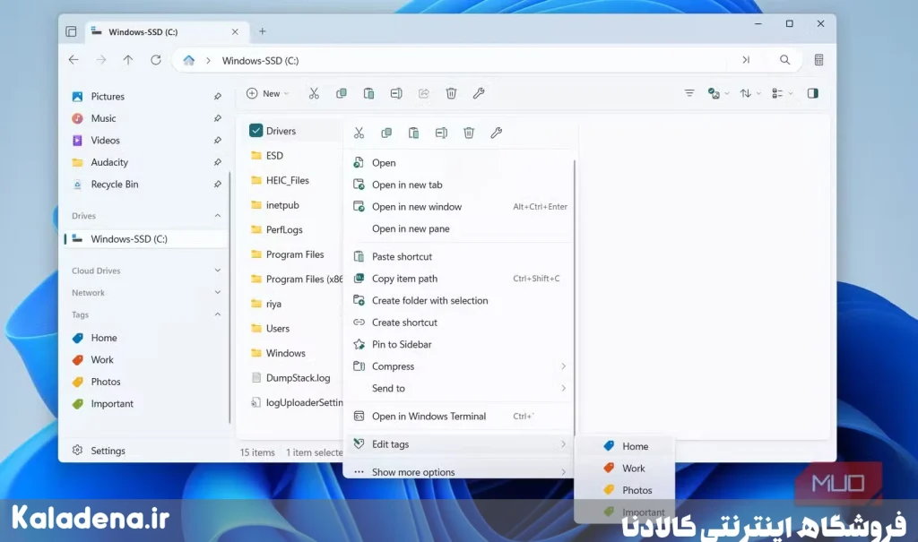 files app on windows showing tags option 7